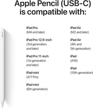 Load image into Gallery viewer, Apple Pencil (USB-C)

